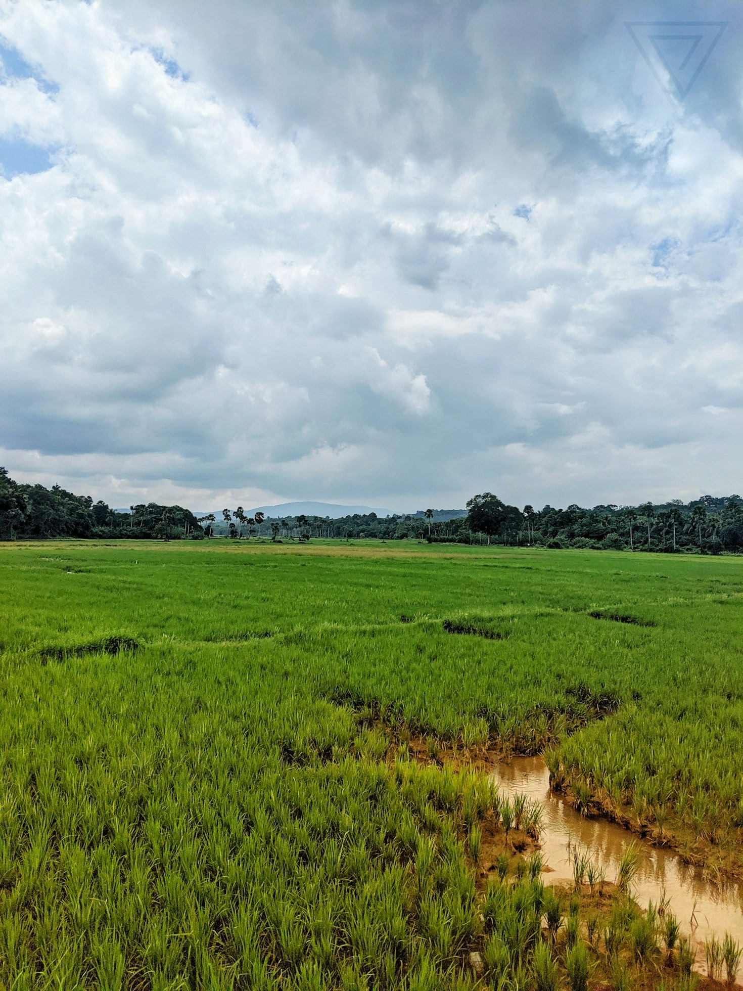 EcoGenie’s Role in Sustainable Agriculture