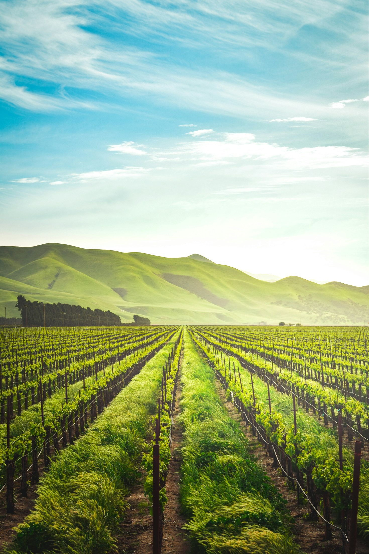 Achieving Sustainability in Farming: Tips and Tools